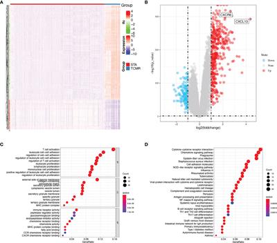 Diagnostic Biomarkers and Immune Infiltration in Patients With T Cell-Mediated Rejection After Kidney Transplantation